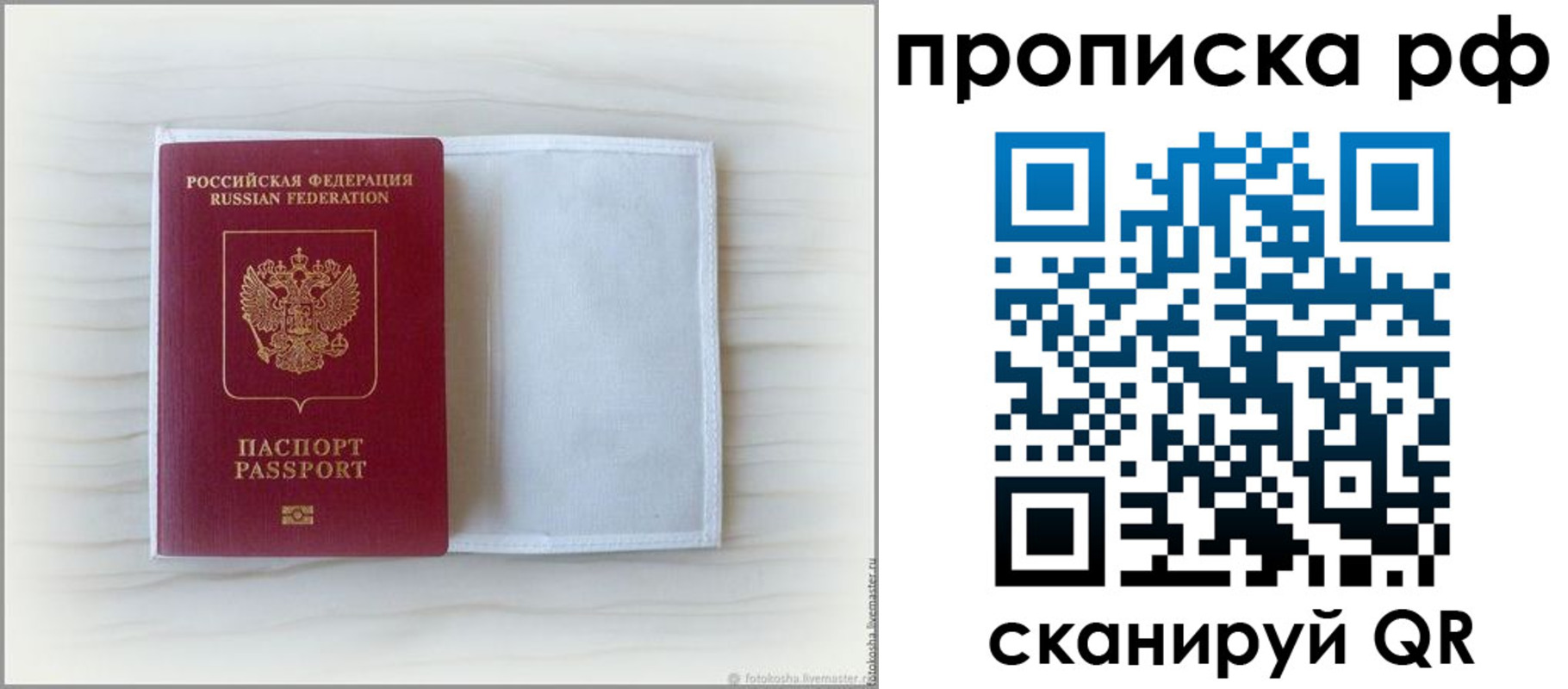где прописаться в Лосино-Петровском